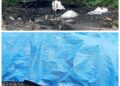 Desak, Polda Banten Tindak Tegas Dugaan Penambangan Batu Bara Ilegal di Blok Cinunggul, Pamandian Ledeng Awikasap Cibobos Timur dan Cioray