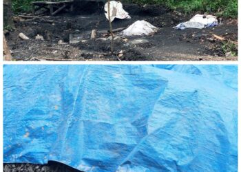 Desak, Polda Banten Tindak Tegas Dugaan Penambangan Batu Bara Ilegal di Blok Cinunggul, Pamandian Ledeng Awikasap Cibobos Timur dan Cioray
