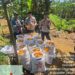 Kanit Intel Polsek Cilograng Bripka Agus Hendriyana S.H dan Bripka Rendi Setiadi Melaksanakan Giat Panen Jagung