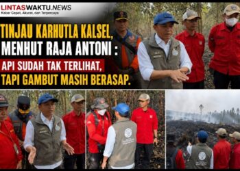 Tinjau Karhutla Kalsel, Menhut Raja Antoni : Api Sudah Tak Terlihat, tapi Gambut Masih Berasap