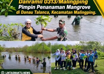 Danramil 0313/Malingping Pimpin Penanaman Mangrove di Danau Talanca, Kecamatan Malingping
