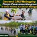 Danramil 0313/Malingping Pimpin Penanaman Mangrove di Danau Talanca, Kecamatan Malingping