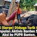 PT FIS (Surge) Diduga Tarik Kabel, perkumpulan Alktivis Banten Siapkan Aksi ke PUPR Banten