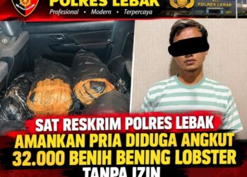 Sat Reskrim Polres Lebak Amankan Pria Diduga Angkut 32.000 Benih Bening Lobster Tanpa Izin